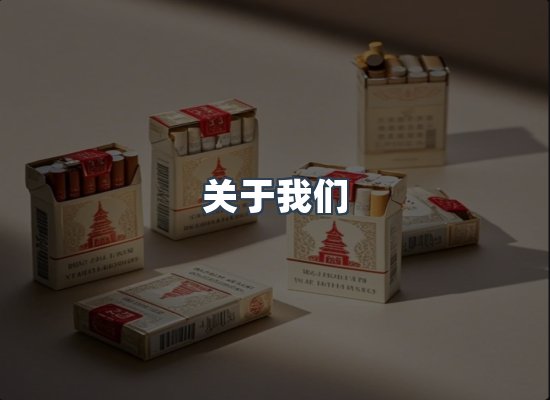 专业团队